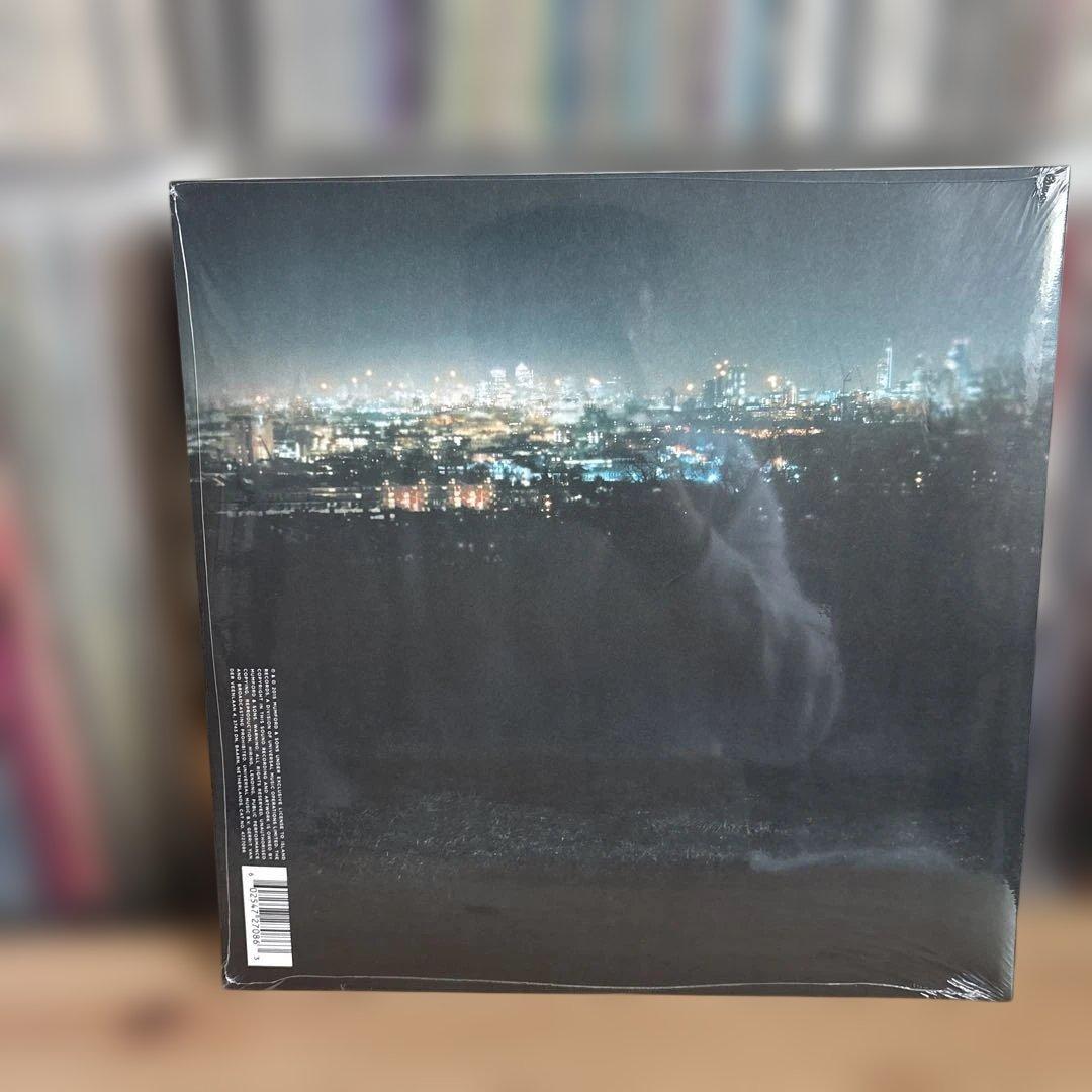 Mumford & Sons Wilder Mind & Delta 2枚セット
