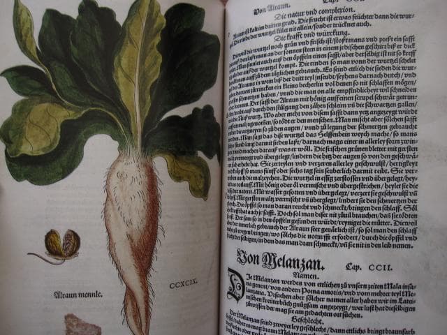 アート・デザイン・音楽 Leonhart Fuchs : The New Herbal of 1543
