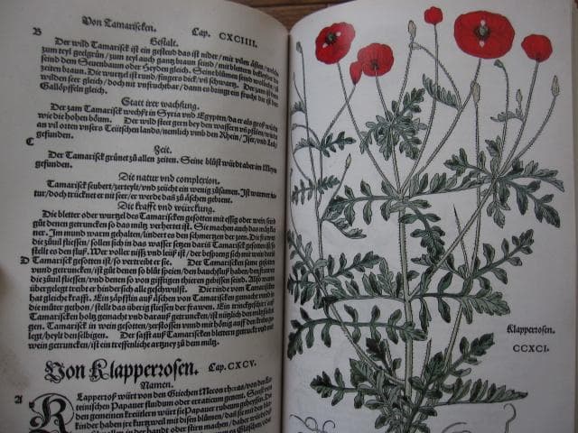 アート・デザイン・音楽 Leonhart Fuchs : The New Herbal of 1543