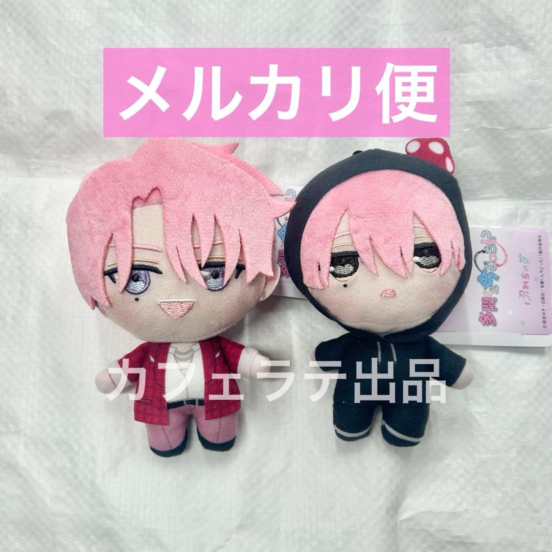 多聞くん今どっち！？ ぷれちゃす 多聞教ぬいぐるみ 福原多聞 2種セット ①