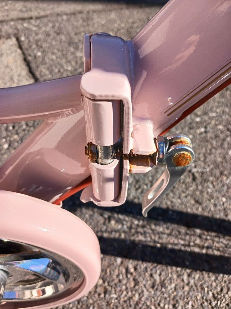 く*る様 【引取限定】GRAPHIS Apricot 子供用自転車22インチ 6
