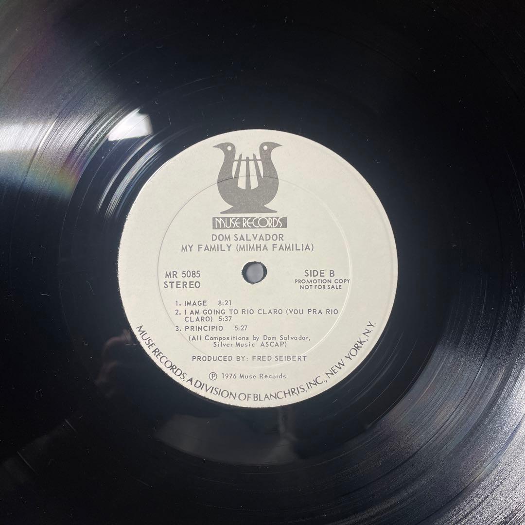洋楽 DOM SALVADOR / MY FAMILY