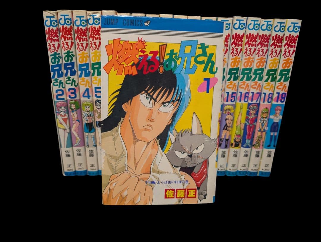 燃える！お兄さん 全巻セット　全１９巻　《激レア》