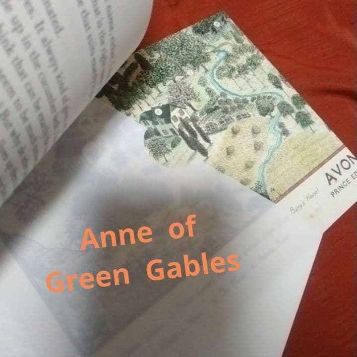 Anne of Green Gables✨サプライズ・ポケット頁がさらに魅力❣️