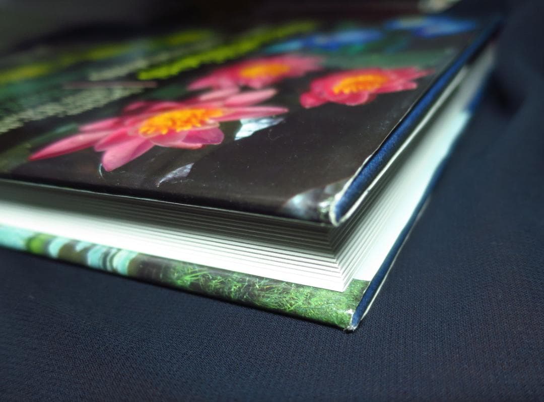 Waterlilies And Lotuses 　蓮・睡蓮　ハス　スイレン