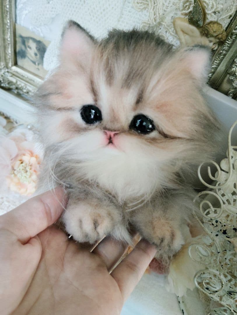 チンチラゴールデン子猫♡まこちゃん♡アートドール♡ぬいぐるみ♡