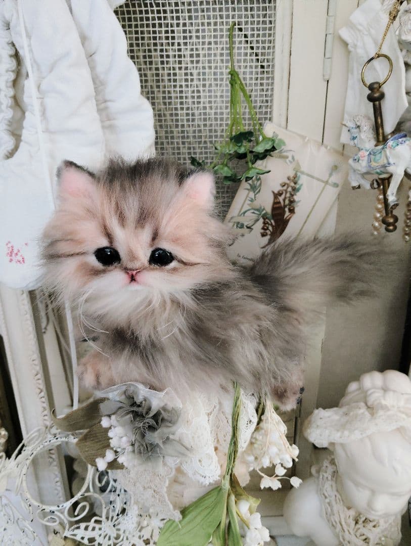 チンチラゴールデン子猫♡まこちゃん♡アートドール♡ぬいぐるみ♡