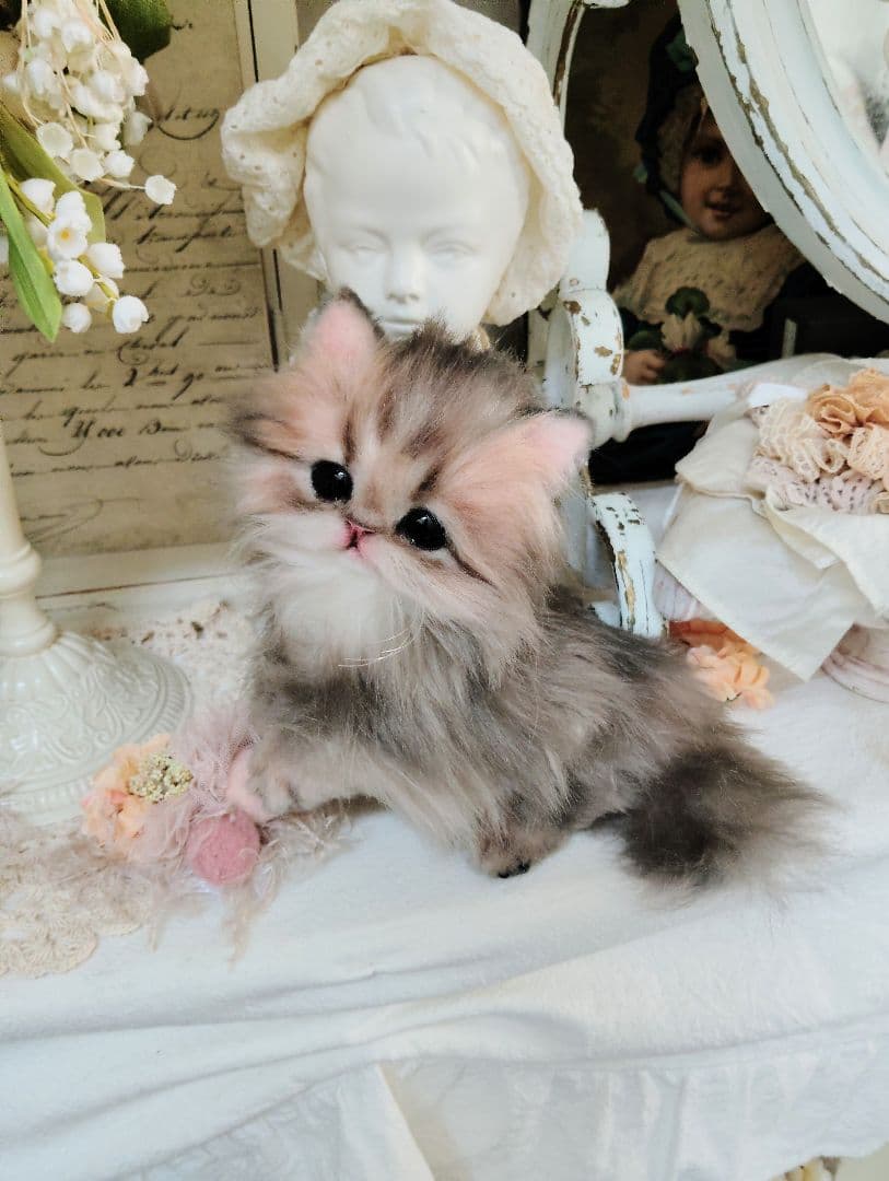 チンチラゴールデン子猫♡まこちゃん♡アートドール♡ぬいぐるみ♡