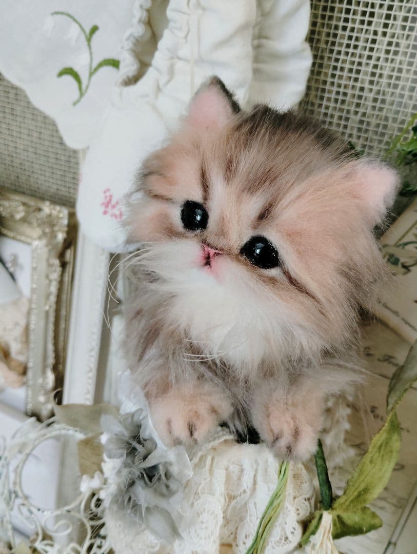 チンチラゴールデン子猫♡まこちゃん♡アートドール♡ぬいぐるみ♡